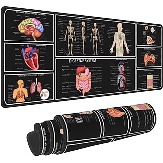 Top 10 Budget Gadgets on Amazon Worth Buying in 2026 - Explore Tech, Master Study Abroad Top 10 Budget Gadgets on Amazon Worth Buying in 2026